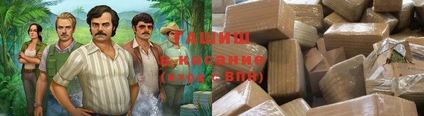 молекула духа Осташков