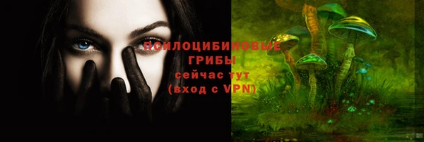 хмурый Алексеевка