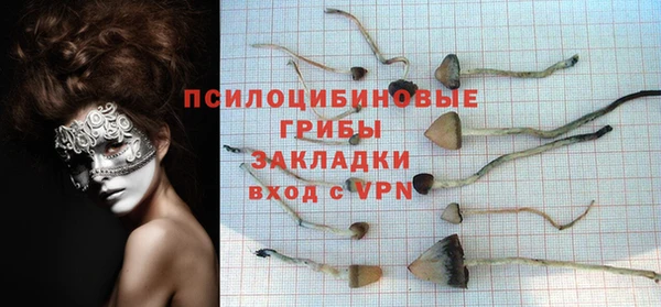 хмурый Алексеевка