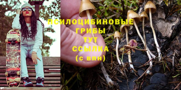 хмурый Алексеевка