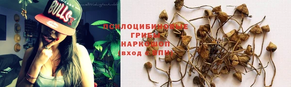 героин Алексин
