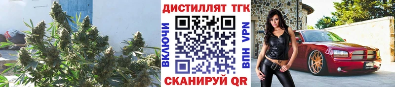 ТГК концентрат  Камешково 