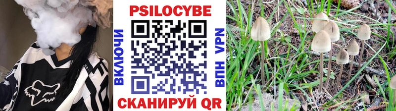 Псилоцибиновые грибы Cubensis  блэк спрут как зайти  Камешково 