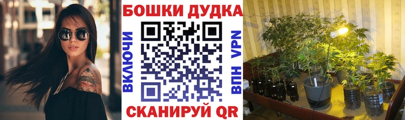 Каннабис Bruce Banner  наркошоп  Камешково 